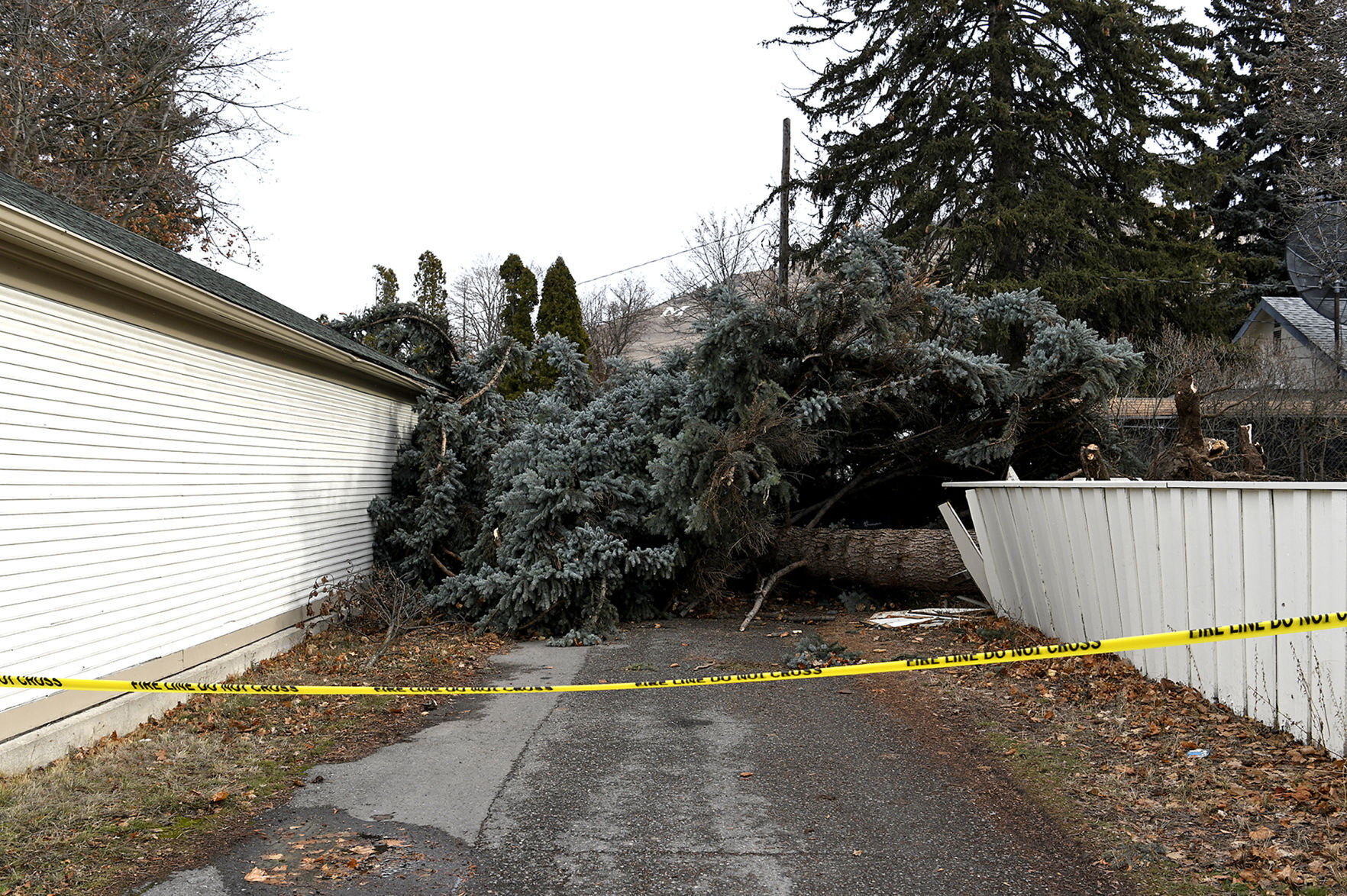 Windstorm in Missoula 16